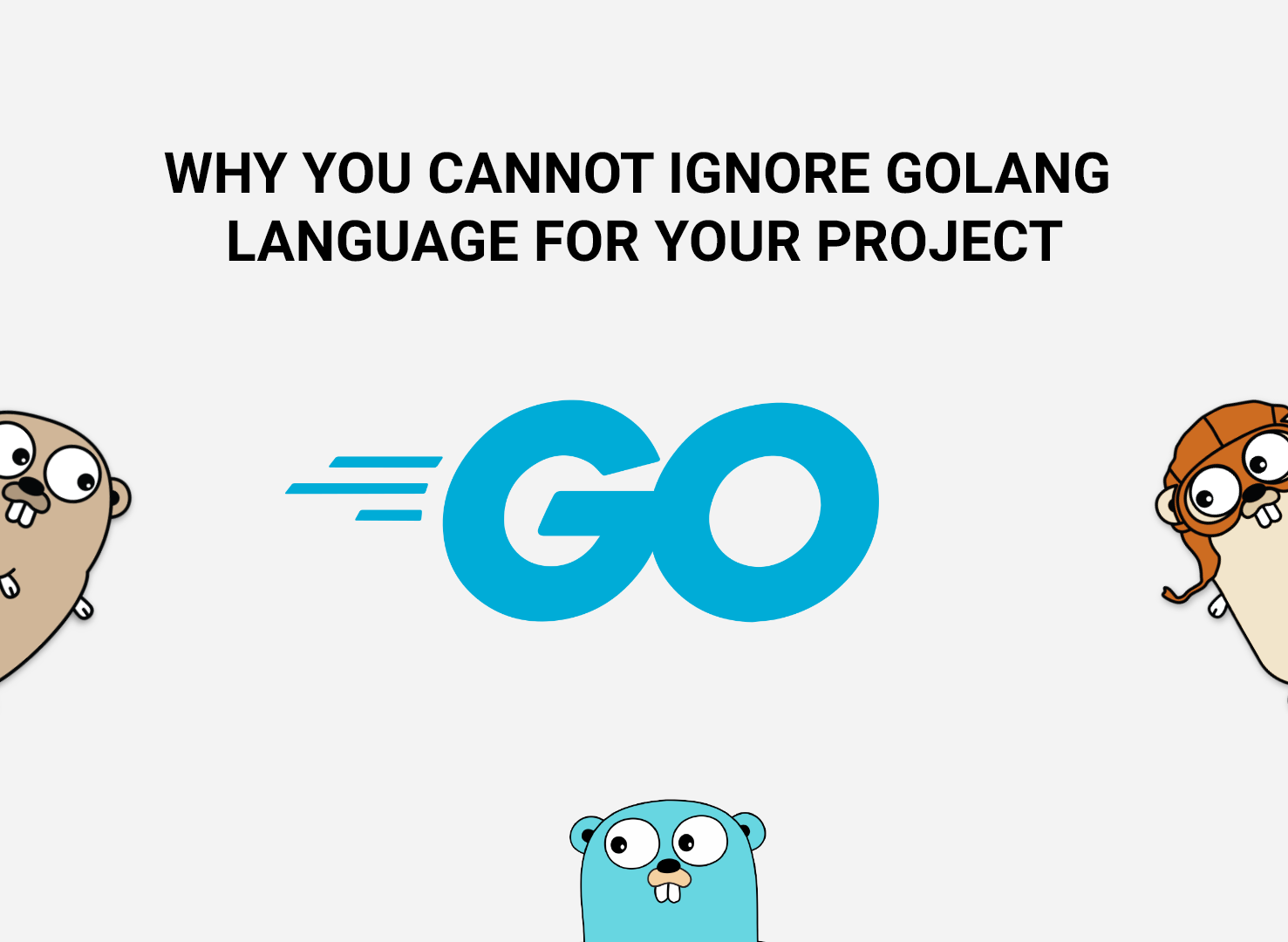 Why You Cannot Ignore the Golang Language for Your Project?