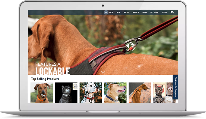 Device Image of An E-commerce Platform Development for Pet Supplies and Accessories Online